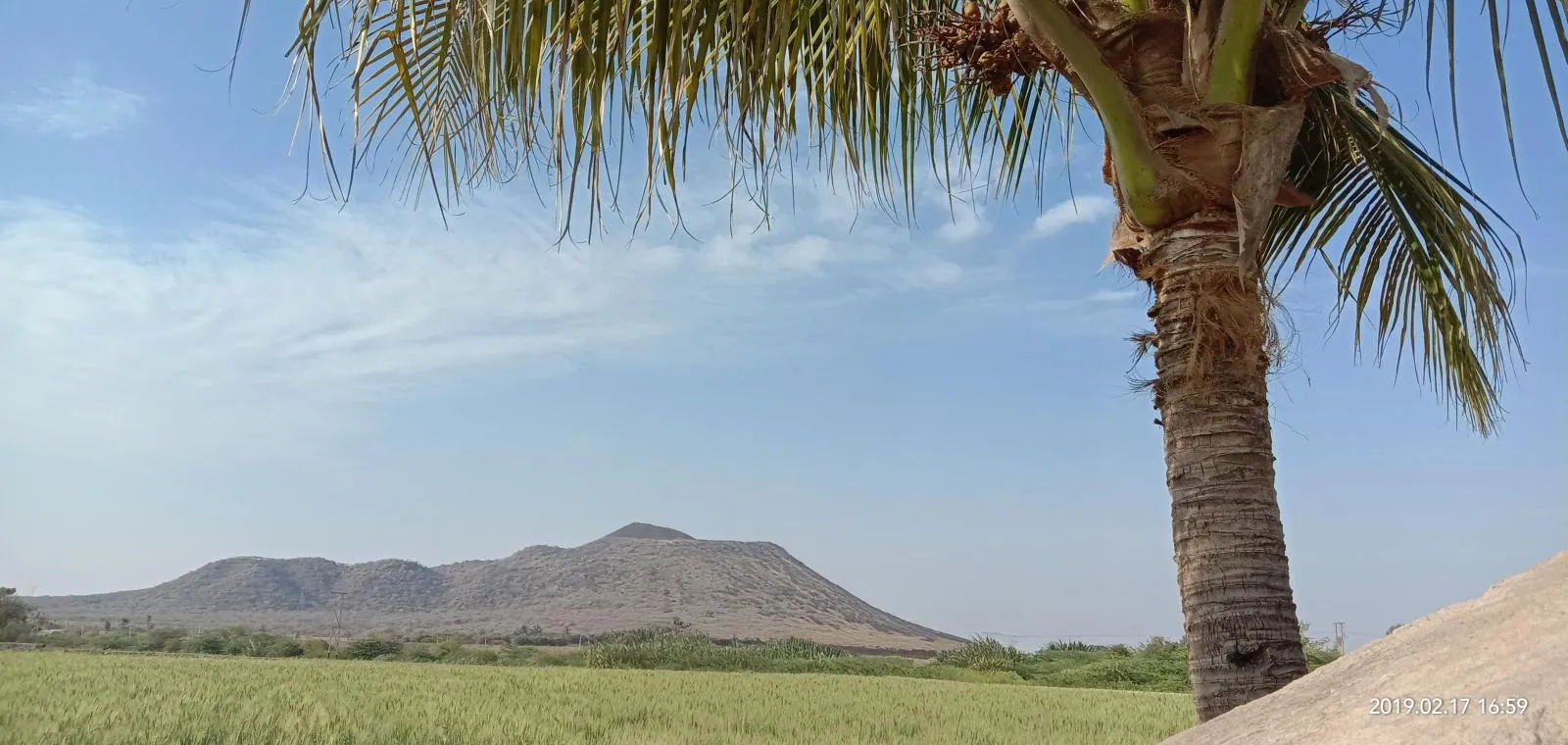 IMG 20190217 165919 Copy in Kutch